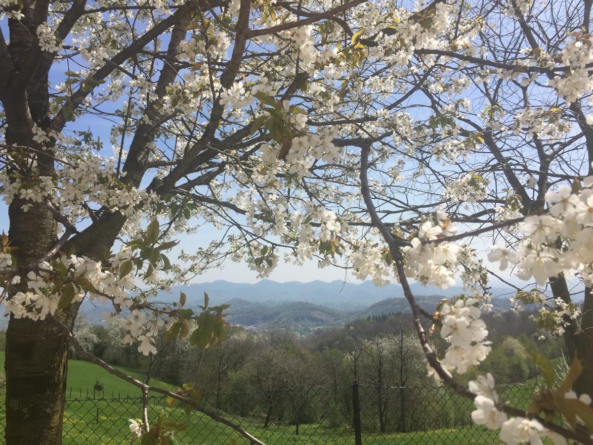 Boccaor Apartment Paderno del Grappa ภายนอก รูปภาพ